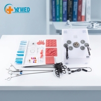 Simulateur d'enseignement de la laparoscopie pour usage hospitalier avec modules de caméra droite réglables et instruments CE/ISO