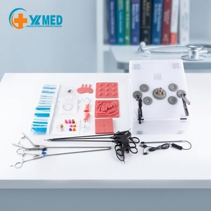 Hospital Teaching Use <strong>Laparoscopy</strong> Teaching <strong>Simulator</strong> With Adjustable Training Straight Camera Modules and Instruments CE/ISO - Product Image 1