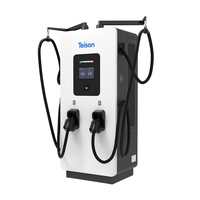 Stasiun Pengisian Daya Cepat DC Level 3 Teison 120KW dengan Dua/Tiga Gun untuk Mobil Listrik dengan Chademo CCS1/2 untuk Umum