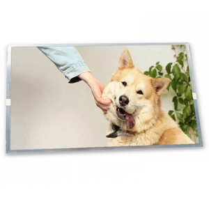 <span class=keywords><strong>15</strong></span> inch LCD Panel 1024*768 <span class=keywords><strong>4</strong></span> cái CCFL <span class=keywords><strong>TFT</strong></span> LCD hiển thị lq150x1dwf1 - Product Image 1