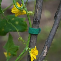 Attaches auto-agrippantes réglables et réutilisables en nylon pour jardinage, écologiques et résistantes à la chaleur, idéales pour la culture des plantes - Vente chaude