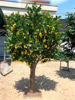 Vente chaude Citronnier Artificiel Intérieur Extérieur Supermarché Cour Restaurant Décoration Bonsaï À La Main Faux Arbre Fruitier