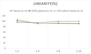 Equipo humano SRD5a2 (esteroide <span class=keywords><strong>5</strong></span> <span class=keywords><strong>Alfa</strong></span> <span class=keywords><strong>reductasa</strong></span> 2) ELISA - Product Image 3