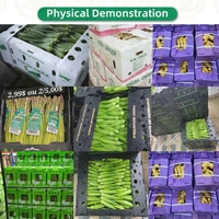 Prix d'usine pour les boîtes d'emballage pour okra et légumes, pour fruits et produits de la mer, en feuille creuse de PP, matériaux recyclés, couleur personnalisée, OEM/ODM