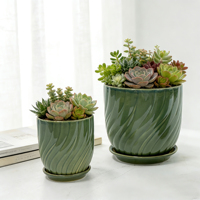 Pot de plante moderne et durable, écologique, avec plateau, pour plantes succulentes d'intérieur