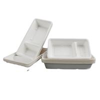 Paquet 125 unités 100% assiettes compostables à 5 compartiments jetables-Assiettes en papier kraft de 10 pouces, plateaux de canne à sucre écologiques