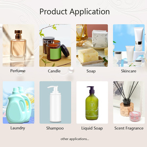 Nhẹ nhàng và thanh lịch cẩm chướng mùi hương một chút hương thơm trái cây sản phẩm chăm sóc cá nhân/phòng phun hương thơm thân thiện với môi làm mát không khí - Product Image 2