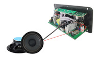 Sıcak satış D100 ağır bas 24V 220V Subwoofer HI-FI 100W güç Amp USB uzaktan kumanda araba yüksek güç amplifikatörü kurulu Bluetooths5.3