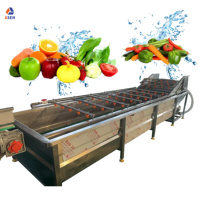 Automatische fruit- en groentewasmachine industriële tomaten komkommer gember reinigings- sorteer- en verwerkingslijn fruitwasser