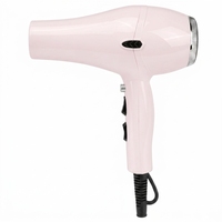 Sèche-cheveux professionnel Ronggui électrique AC 1800-2100W haute puissance en plastique pour salon, deux vitesses, avec buse concentratrice et réglage de la température