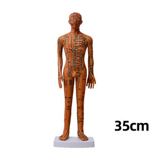 टीसेमी एक्यूपॉइंट मॉडल एक्यूपंक्चर आकृति चीनी pvc दवा लेटरिंग पुरुष और महिला मानव शरीर मॉडल - Product Image 5