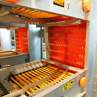 Cages personnalisées pour animaux d'élevage de volailles Poules d'élevage Cage de ponte Équipement Couche d'œufs