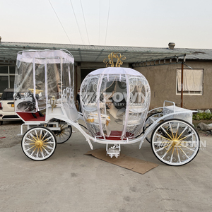 Viral Clear Shell Pumpkin Carro Eléctrico de Turismo para Parques de Atracciones y Lugares Turísticos - Product Image 1