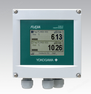 Analizador de pH/ORP Yokogawa Serie FLXA402, Multicanal, 4 Cables, en Oferta - Product Image 2