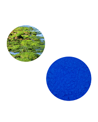 Approvisionnement d'usine GMP phycocyanine E16, E18, E25 antioxydant d'algues spiruline - Product Image 3