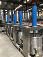 Nigeriaans gemaakte Garri-verwerkingsmachines, complete set Cassave-apparatuur voor Garri-productie, 10TPD Garri-productielijn