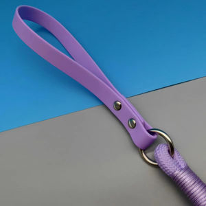 Laisse d'entraînement pour chien robuste, nouvelle poignée en PVC, corde en nylon tendance, ruban décoratif, laisses pour animaux de compagnie pour chiens de taille moyenne et grande - Product Image 2