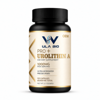Complément Alimentaire Premium en Fibres – Formule Bien-être Quotidienne – Gélules Végétaliennes – Pour Adultes – Marque Privée – Fournisseur ODM