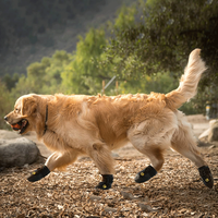 Chaussures pour chien, chaussures imperméables pour animaux de compagnie, chaussures réfléchissantes imperméables, bottes pour chien d'automne et d'hiver