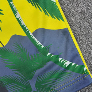 2526 Ucuz Tayland Kalitesi Brezilya Özel Gençlik Forması Futbol Üniforması Sınırlı Sayıda Antrenman Futbol Forması - Product Image 5