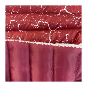 Vải Taffeta/Lớp Lót Polyester 170T 190T 210T Và Vải Lót Bên Trong Cho Áo Khoác Và Mặc Xuống - Product Image 4