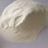 Résine polymère super absorbante (SAP) – Agent de rétention d'eau résistant à la sécheresse, poudre blanche, conservateur pour fleurs fraîches, pack de glace