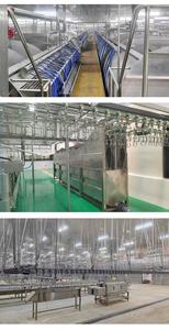 Línea automática <span class=keywords><strong>de</strong></span> procesamiento <span class=keywords><strong>de</strong></span> matanza <span class=keywords><strong>de</strong></span> aves <span class=keywords><strong>de</strong></span> corral a la venta 3000 <span class=keywords><strong>pollos</strong></span> por hora - Product Image 6