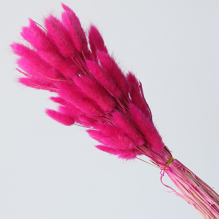 rose pink