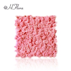 Hflora Offre Spéciale naturel mousse préservée meilleur vendeur préservé renne mousse panneau stabilisé pour la décoration de mariage - Product Image 5