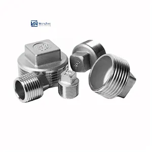 304 316 Stainless Steel Tube Connector Thread Square Plug Screw Pipe Head Fittings 3/4"-4" bsp bspt npt