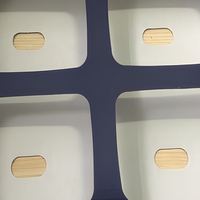Boîte en carton ondulé recyclable et personnalisable avec doublure en mousse et revêtement UV pour les bleuets