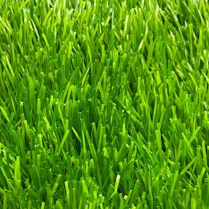 Xuất Khẩu Toàn Cầu Nhà Máy Trực Tiếp Cao Cấp UV Kháng Tổng Hợp Turf Pet Thân Thiện Với Bền Cỏ Nhân Tạo Cho Thương Mại Cảnh Quan - Product Image 4