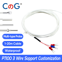 CG PT100 Capteur de température Platinum RTD Sonde multitype avec câble PFTE à trois fils de haute précision Étanche et anti-corrosion