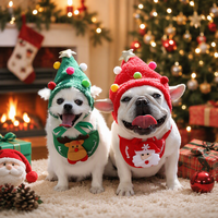 Costume de Noël pour chien et chat, avec chapeau et bavoir, en polyester, tenue festive, Chine