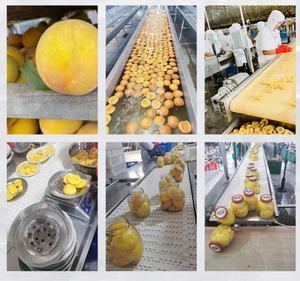 Pêches jaunes en conserve coupées en demi-tranches 425g, très demandées, à bon prix - Product Image 1