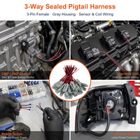 Harnais à pigtail scellé 3 voies gris avec connecteur femelle 3 broches et fils dénudés rouge et noir pour câblage de bobine de capteur personnalisé