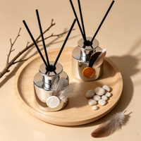 Diffuseur de parfum sans flamme en verre avec plume argentée, sans alcool, 120 ml, parfum longue durée, rafraîchisseur d'air pour la maison