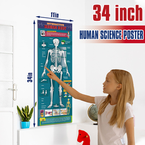 Brinquedos interativos de caule, kit de ciências para o corpo humano, modelo de corpo humano, brinquedos educativos, faça você mesmo, kit de órgãos do corpo humano para crianças - Product Image 3