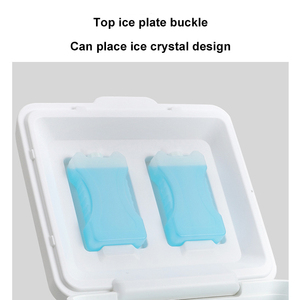 5L 8L 13L 26L Portable extérieur sac de glace isolé conteneur BBQ nourriture voiture en plastique boîte de glace glace coffre glacières - Product Image 6