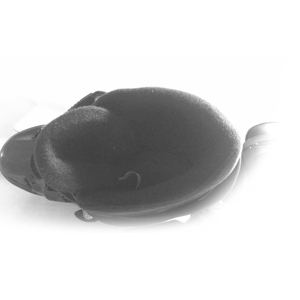 <span class=keywords><strong>2025</strong></span> mới màu đen thời trang tốc độ ngắn Băng dao giá bán buôn giày trượt băng - Product Image 5