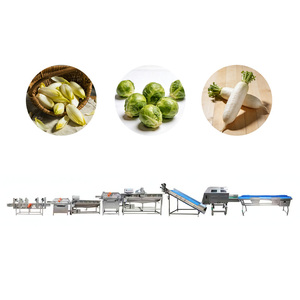 食品厂的交钥匙式水果分级和蔬菜分选线 - Product Image 1