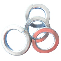 BSW Sring Washers Zinc Plated High Quality Made in China