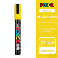 Lot de Marqueurs à Pointe Feutre en Plastique de Qualité Supérieure pour Peinture Aquarelle, Idéal pour Adultes, Artistes et Étudiants, Coffret Cadeau Inclus