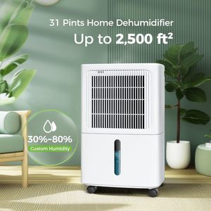 Deshumidificador Doméstico de Plástico con Compresor de 16L/día, 300W, Control Táctil y Descongelación Automática, Venta al Por Mayor - Product Image 3