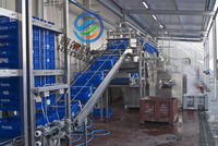 Automatische omzetkrattenwas- en desinfectiemachine, commerciële krattenwasser voor slachthuizen en groenteverwerkingsbedrijven