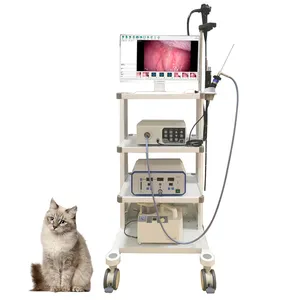 Équipement de gastroscope vidéo vétérinaire endoscope flexible médical sans fibre endoscope gastrique pour animaux de compagnie