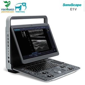 <span class=keywords><strong>SonoScape</strong></span> E1V Ysenmed ultrasonido veterinario portátil gato perro ultrasonido escáner con sonda Rectal/convexa/lineal - Product Image 4