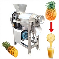 Industriële slow cold press sapcentrifuge voor fruit en groenten, ananascentrifuge voor het extraheren van ananas.
