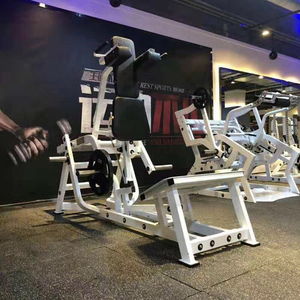 Equipo de entrenamiento de fuerza de carga, placa profesional comercial multifunción de alta calidad, máquina de fila trasera - Product Image 3