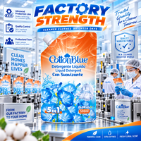 OEM 500ml, fabrication, vente directe, liquide de lavage à la mousse riche de haute qualité, détergent à lessive solide pour élimination des taches, liquide dans un sac